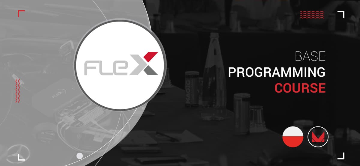 How does FLEX work? Find out at a Base Programming Course in Łódź, Poland