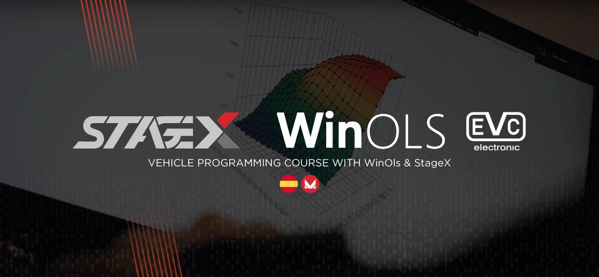 VEHICLE PROGRAMMING COURSE CON WINOLS Y STAGEX